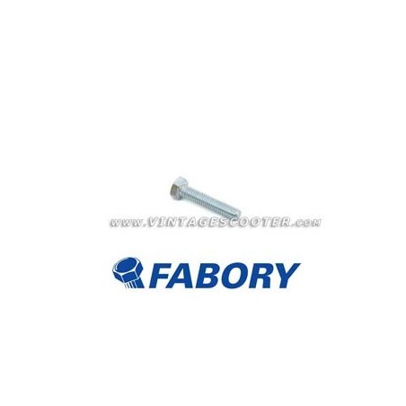 Boulon  M 6 mm L 30 mm zingué FABORY